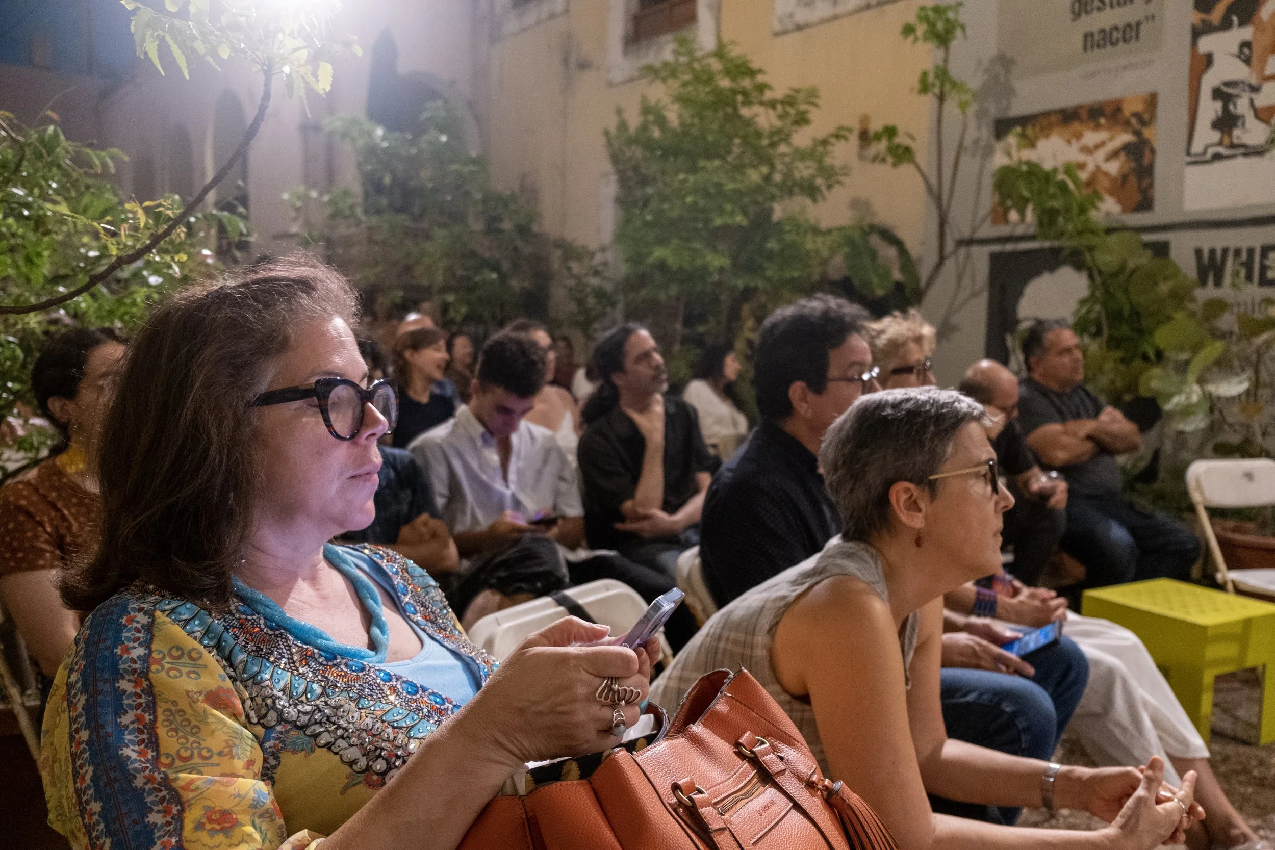 Contrafuertes Fenomenos melanie .jpg