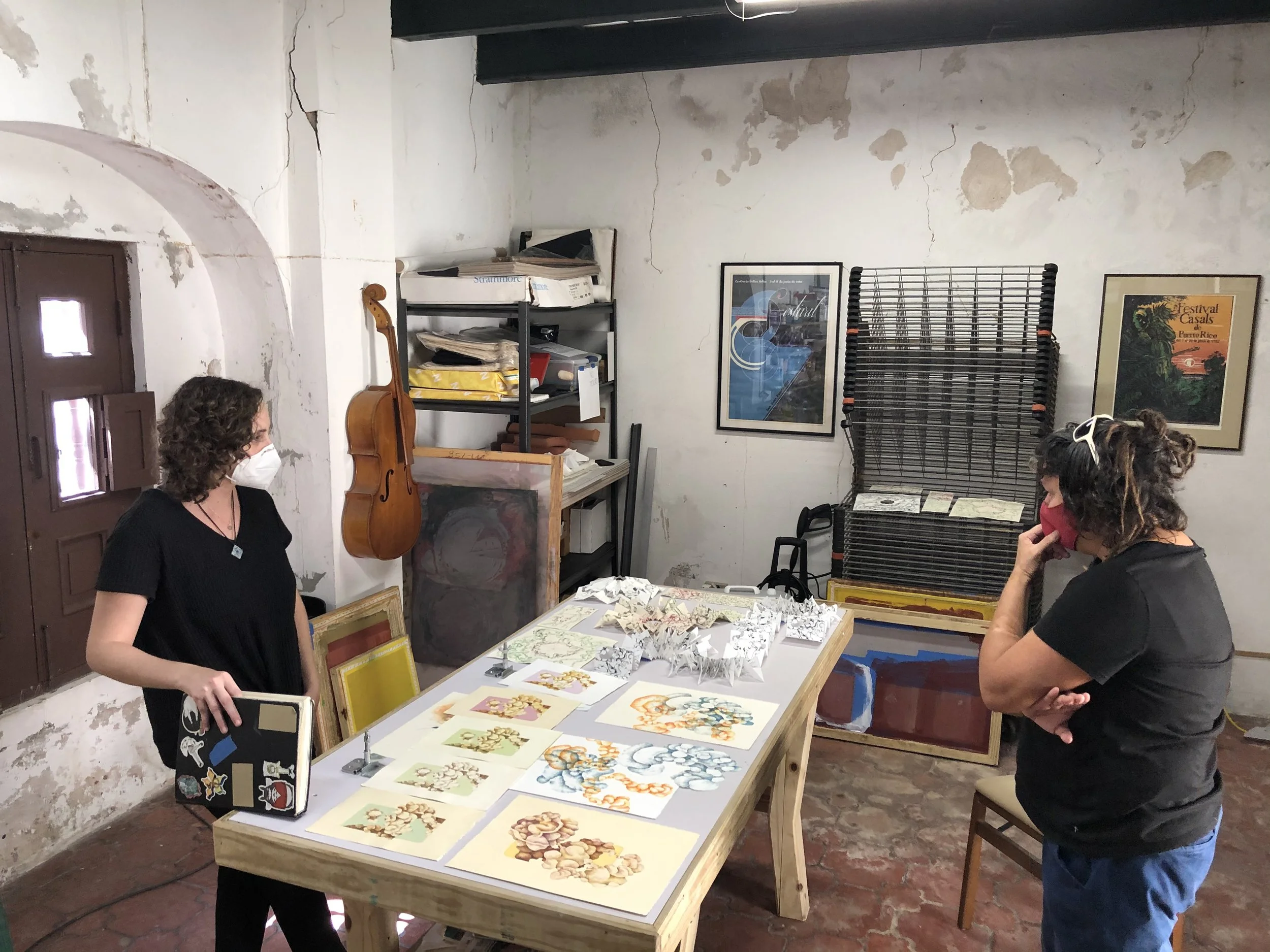 Krystal residencia 2.jpeg