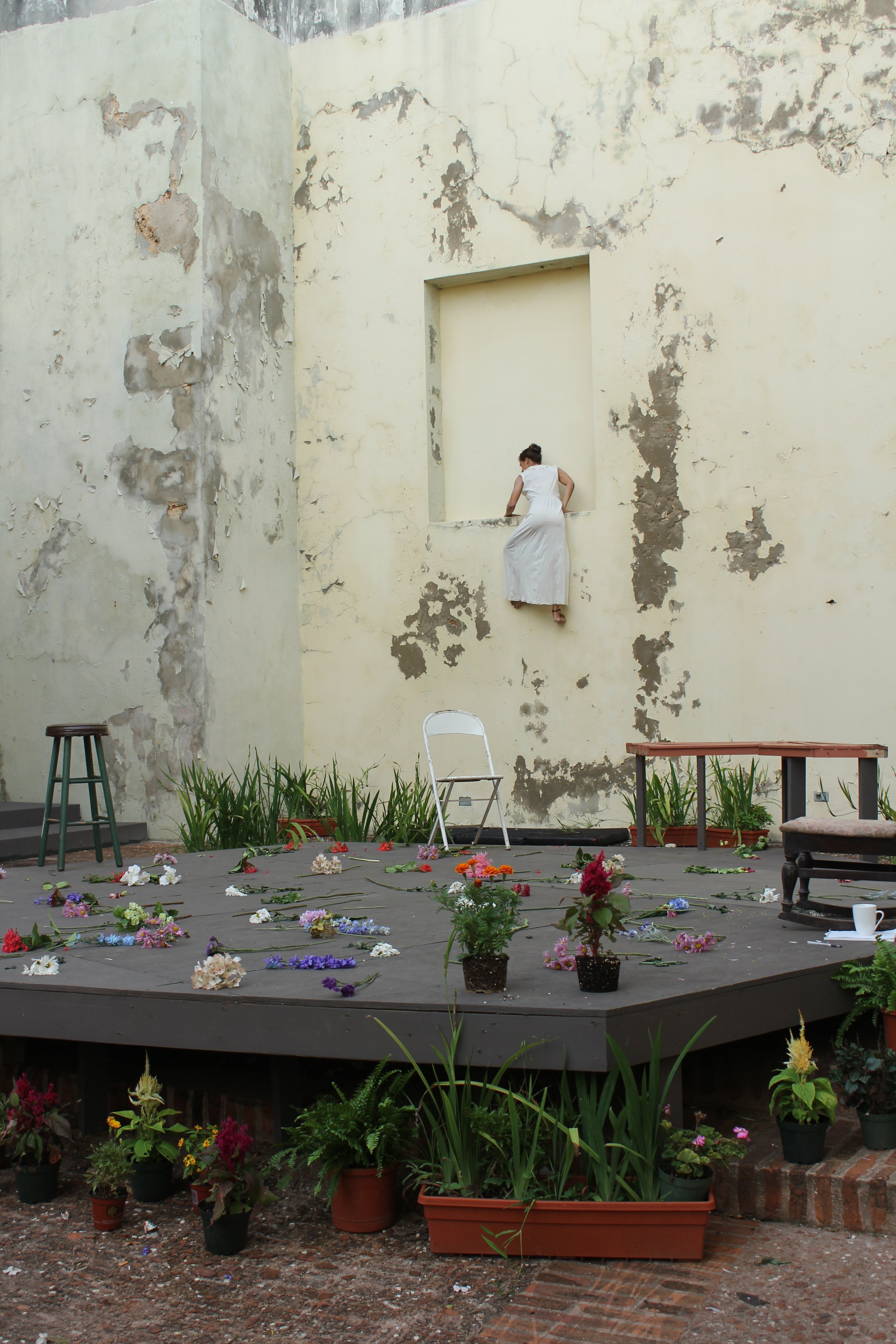 violencia flores8.JPG