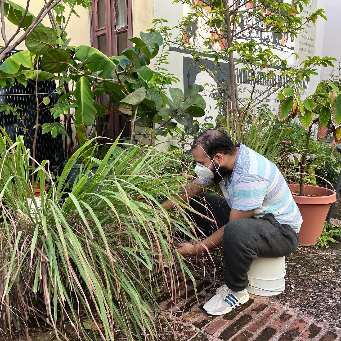 Fab trabaja jardin.jpeg