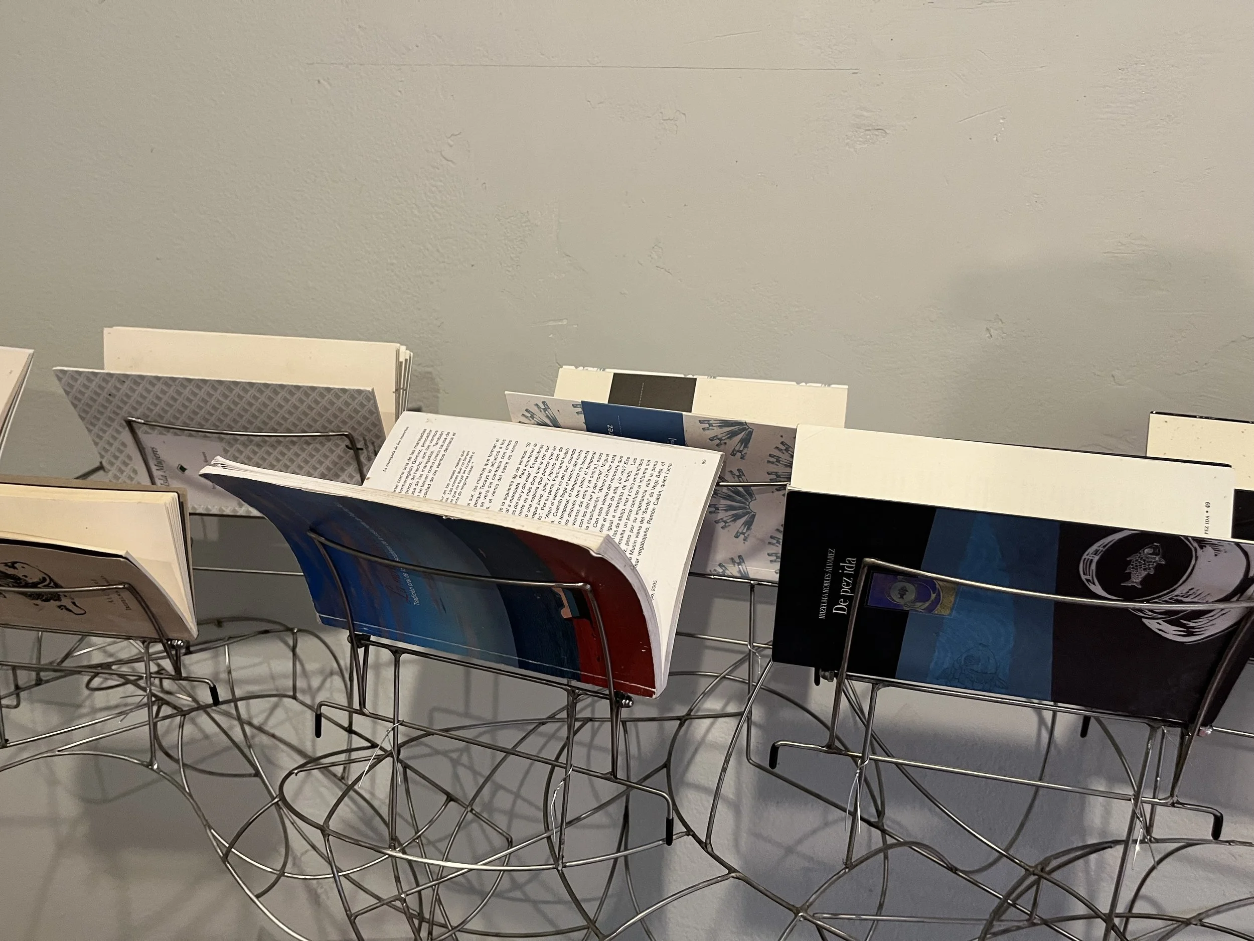 Retrato Bibliog Irizelma detalle.jpeg