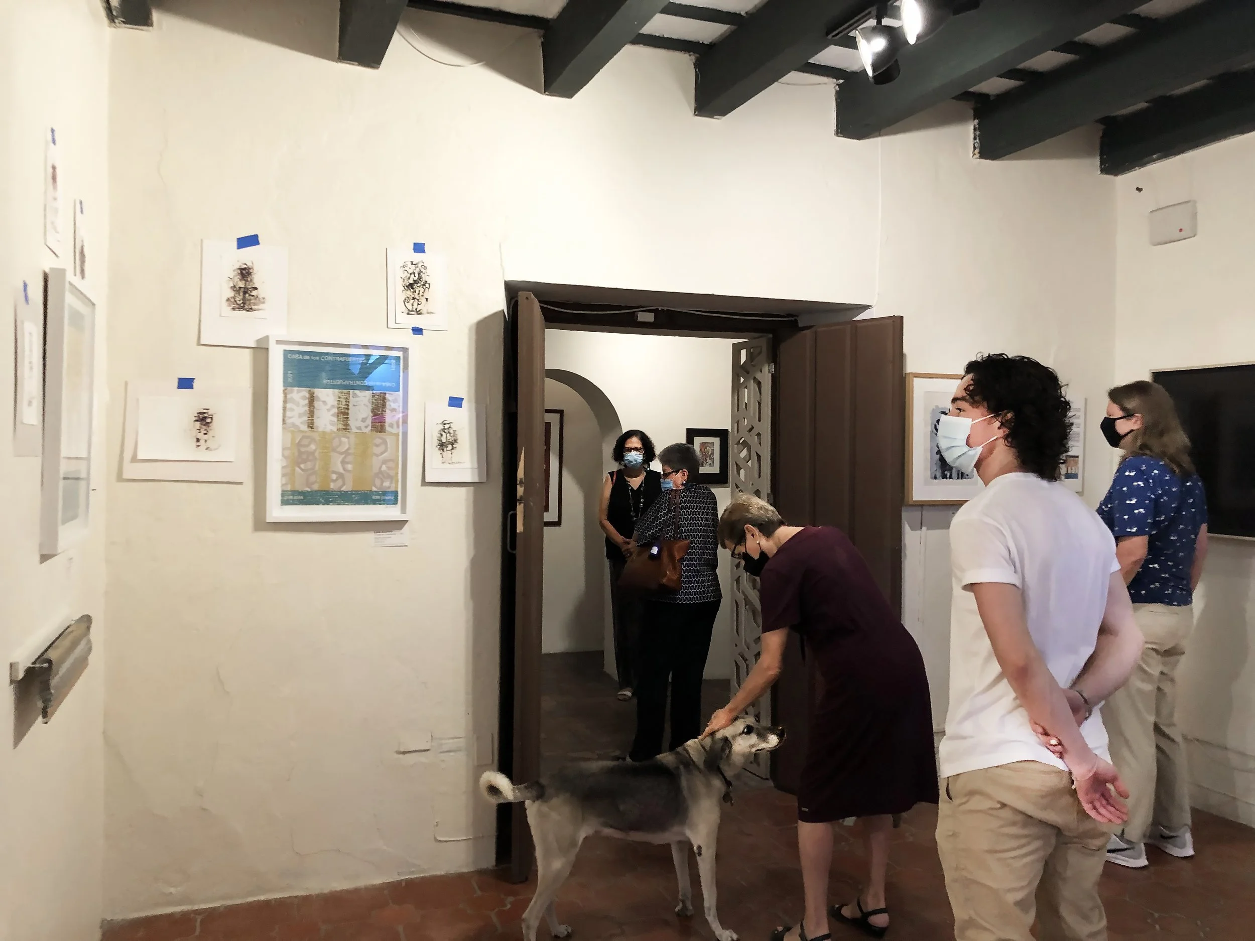 Luis Cartel sala zuki.jpeg