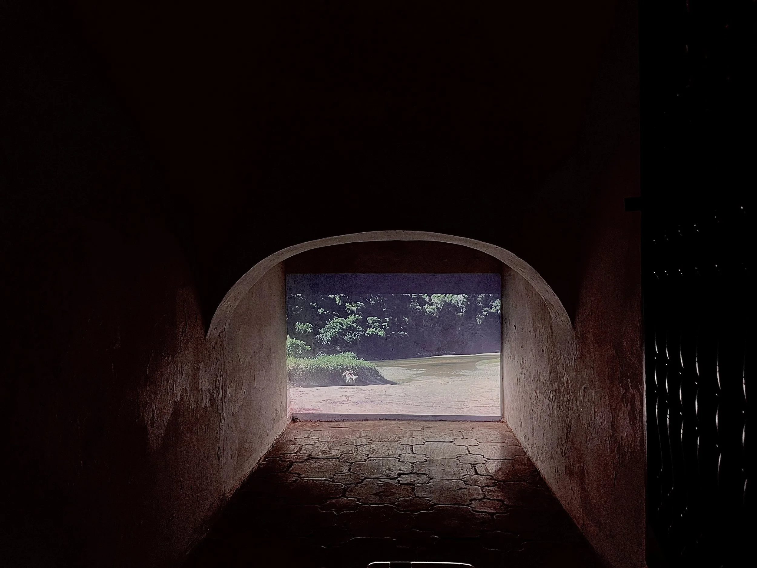 Cueva Karen Contrafuertes Cuero duro.jpeg