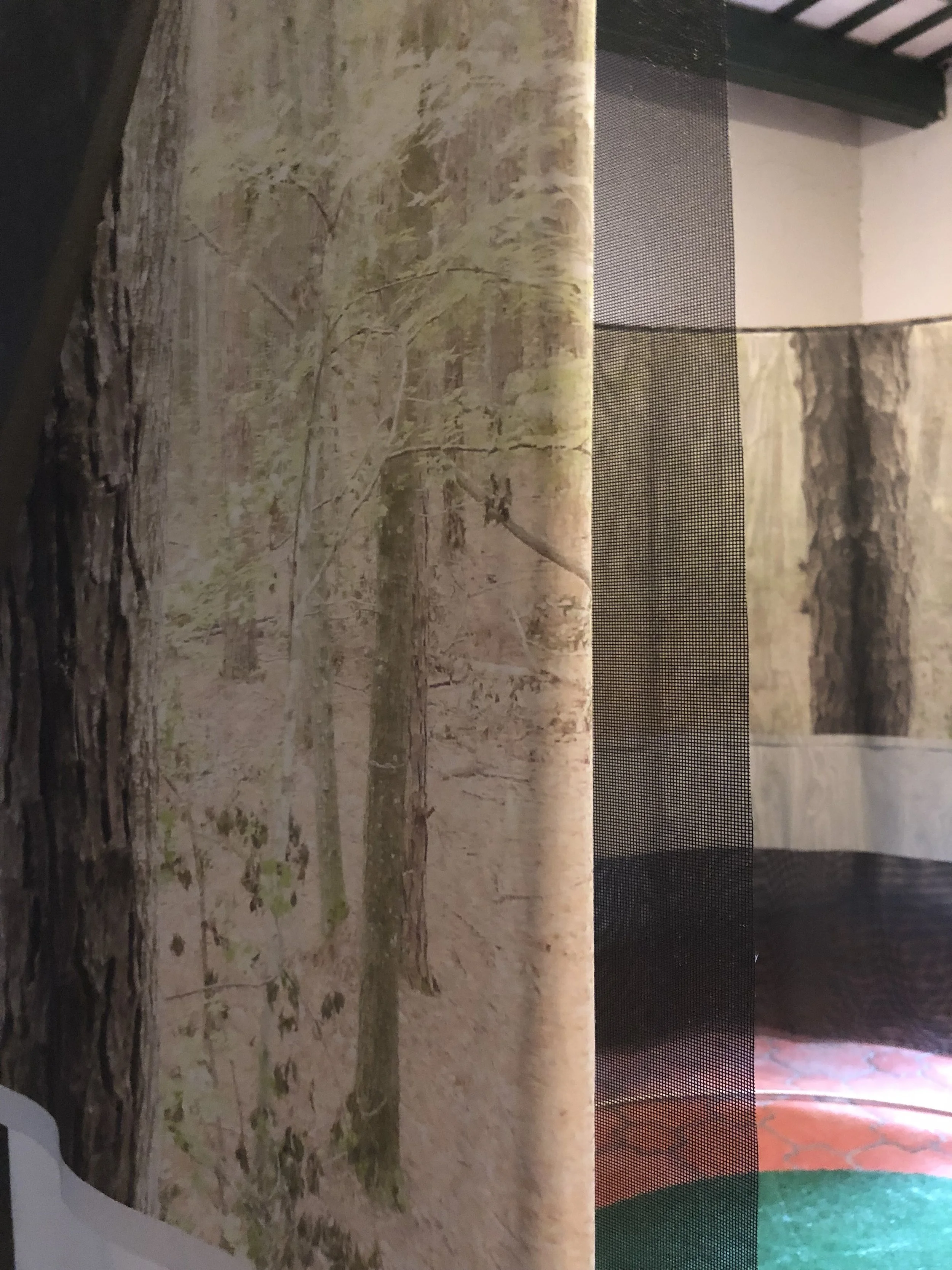 Veronica vinculos 2 Contrafuertes.jpeg