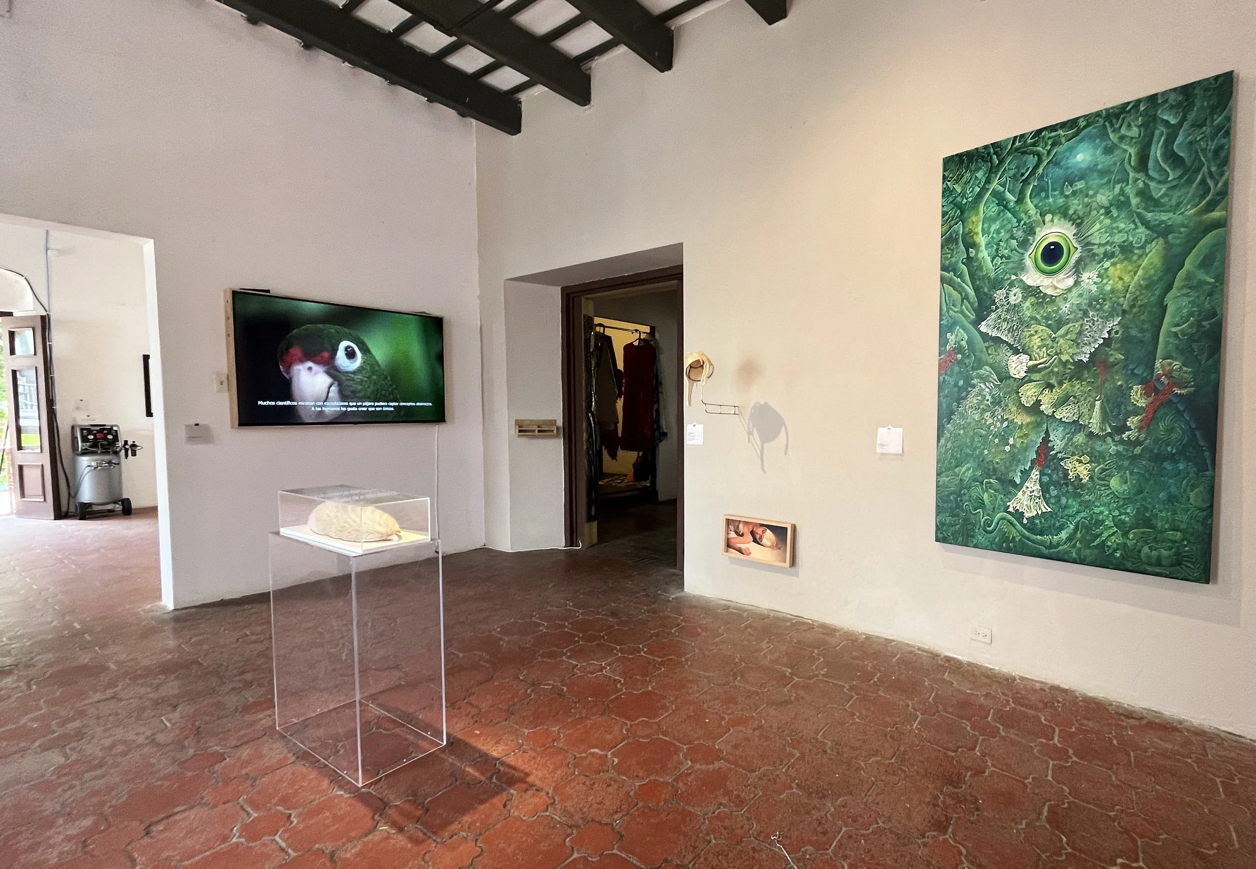 Contrafuertes Parabolica 6.jpg