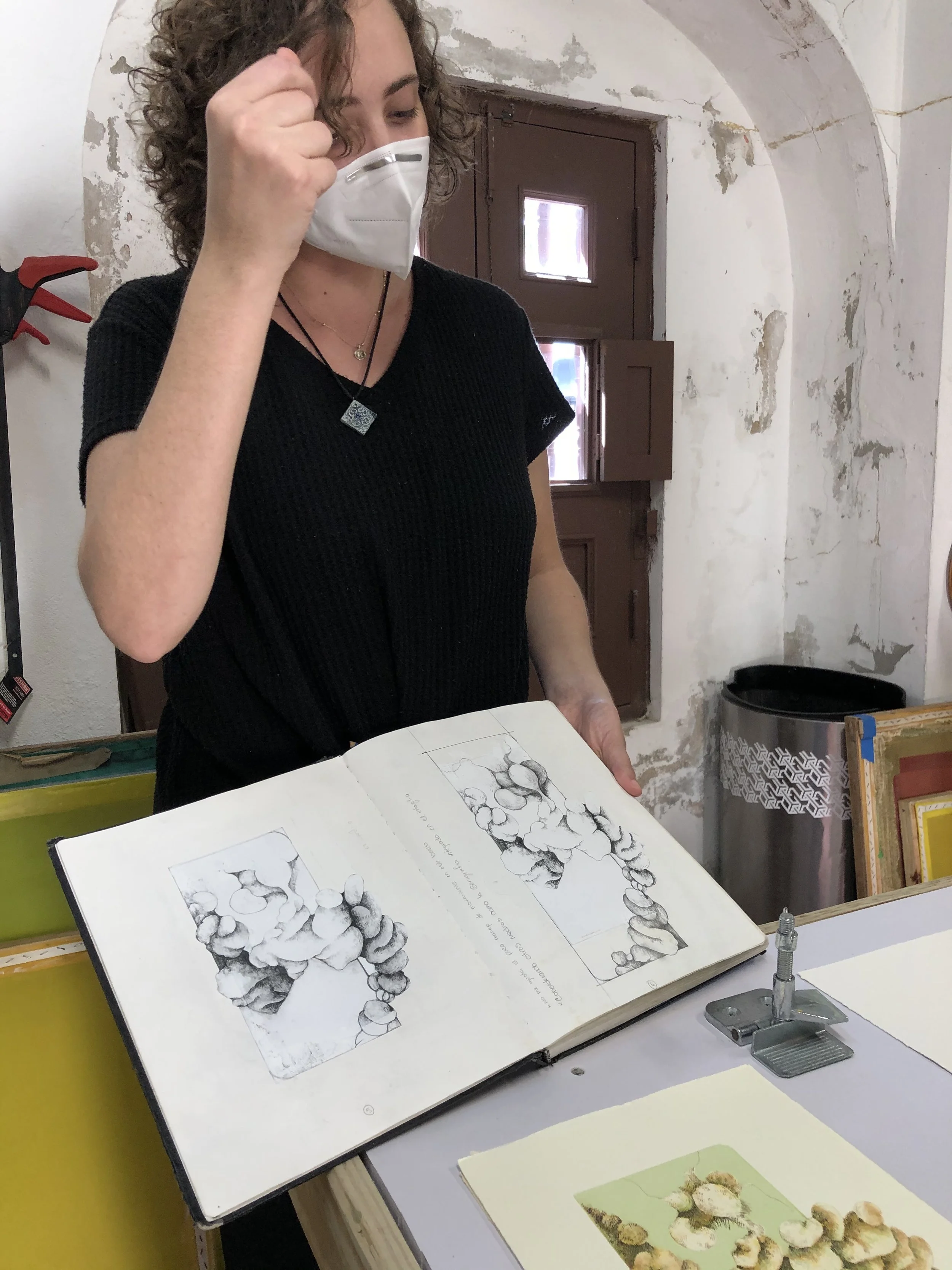 Krystal residencia 3.jpeg