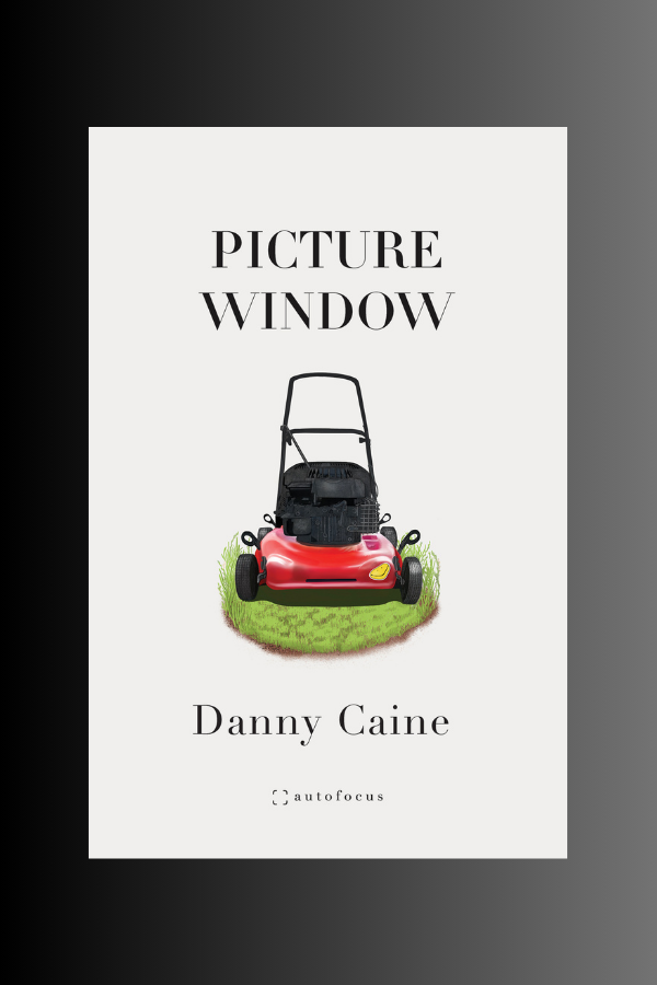 PICTURE WINDOW - Danny Caine