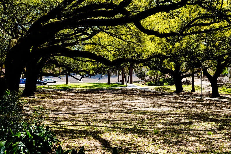 This Is How You Loved Me Before I Could Love You