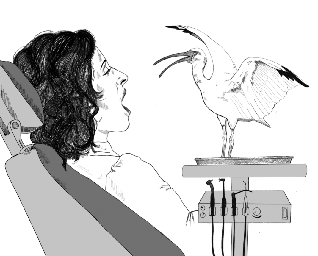 Little God Sings for the Unborn