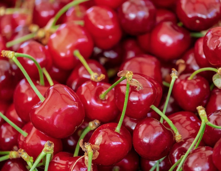 Chatting with Replika about Magic