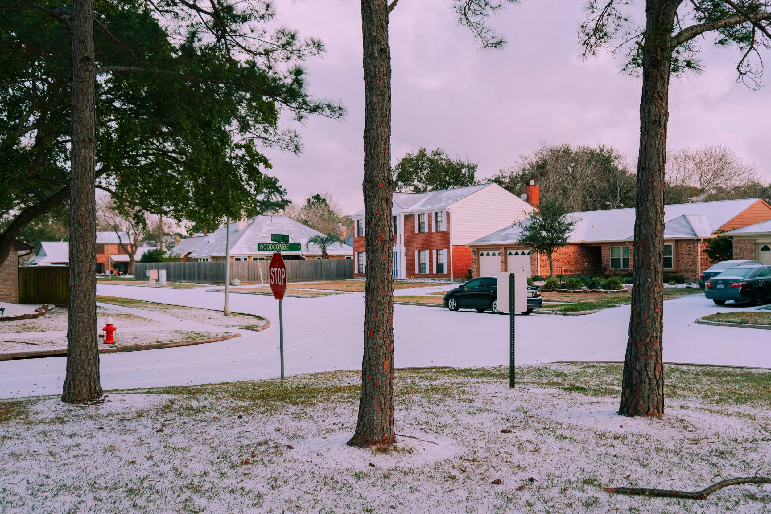 Bonnie &amp; Frances