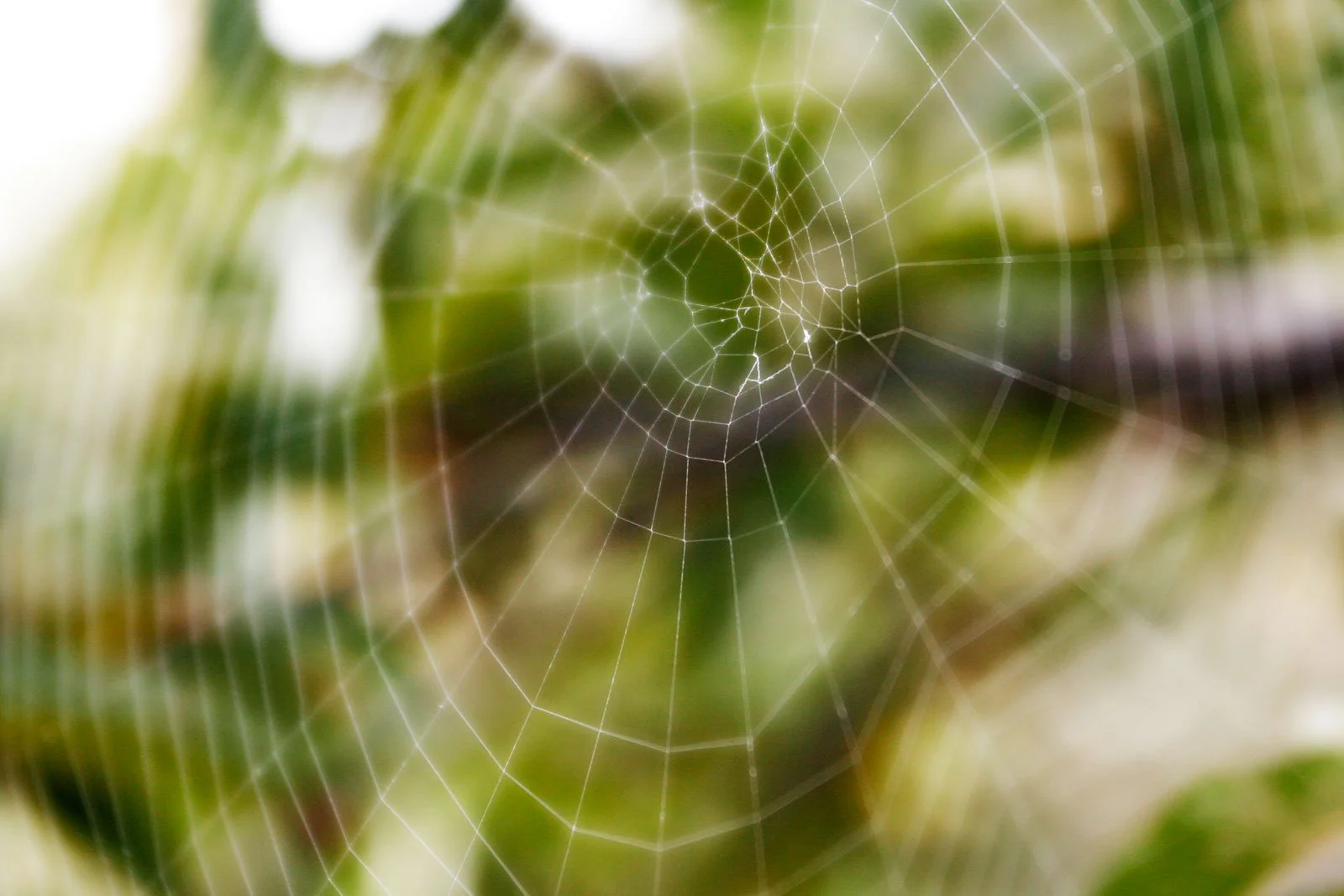 Two of Us on the Run