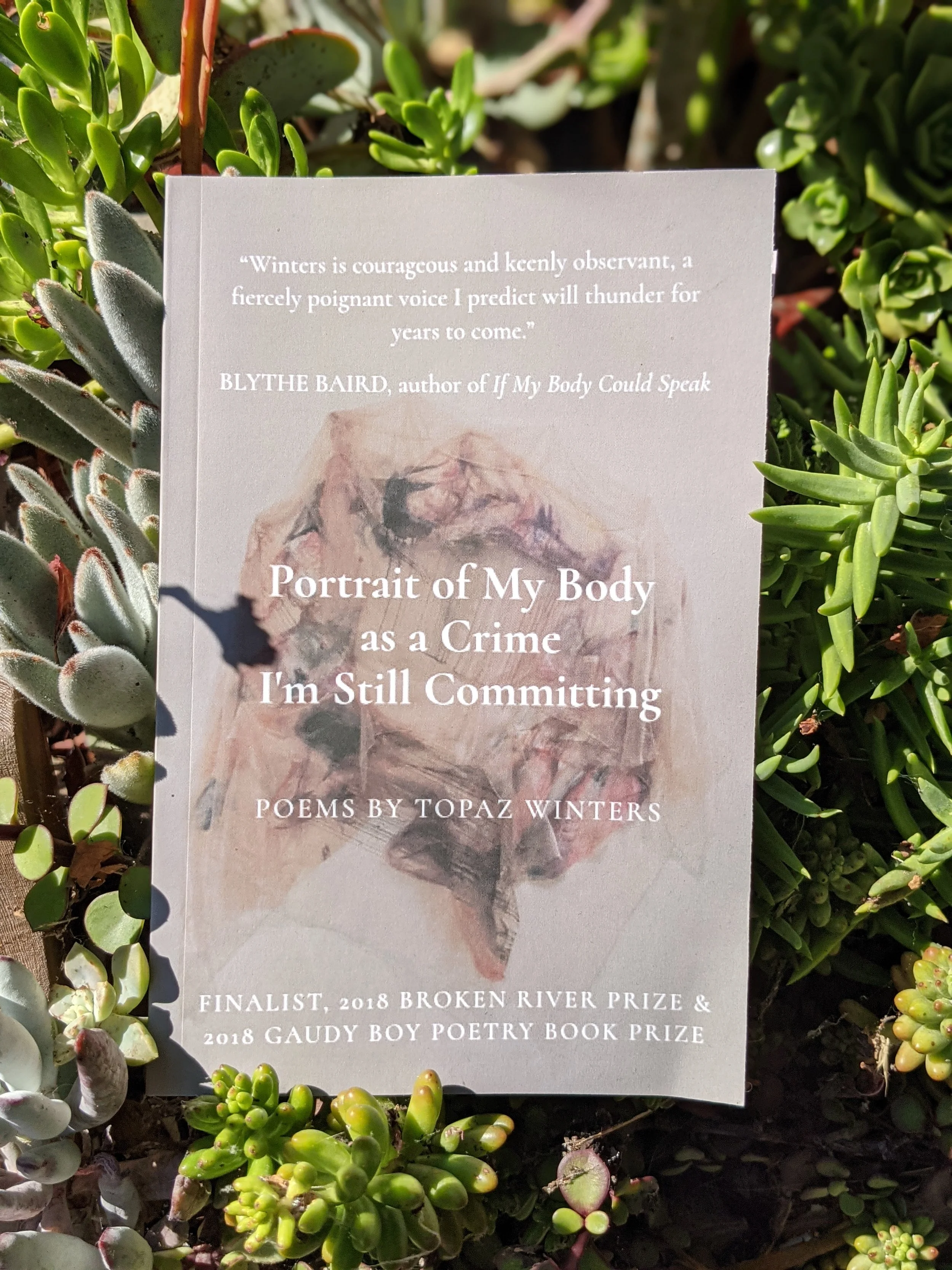 Let Me Hold That for You: A Review of Topaz Winters’ PORTRAIT OF MY BODY AS A CRIME SCENE I’M STILL COMMITTING