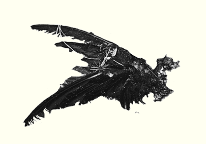 The Nurse’s Lament