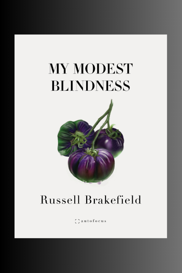 MY MODEST BLINDNESS - Russell Brakefield