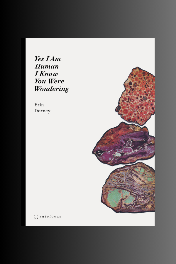 YES I AM HUMAN I KNOW YOU WERE WONDERING - Erin Dorney