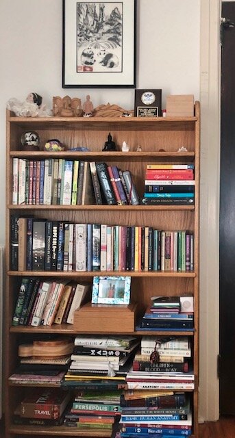 Erin's Princess bookcase