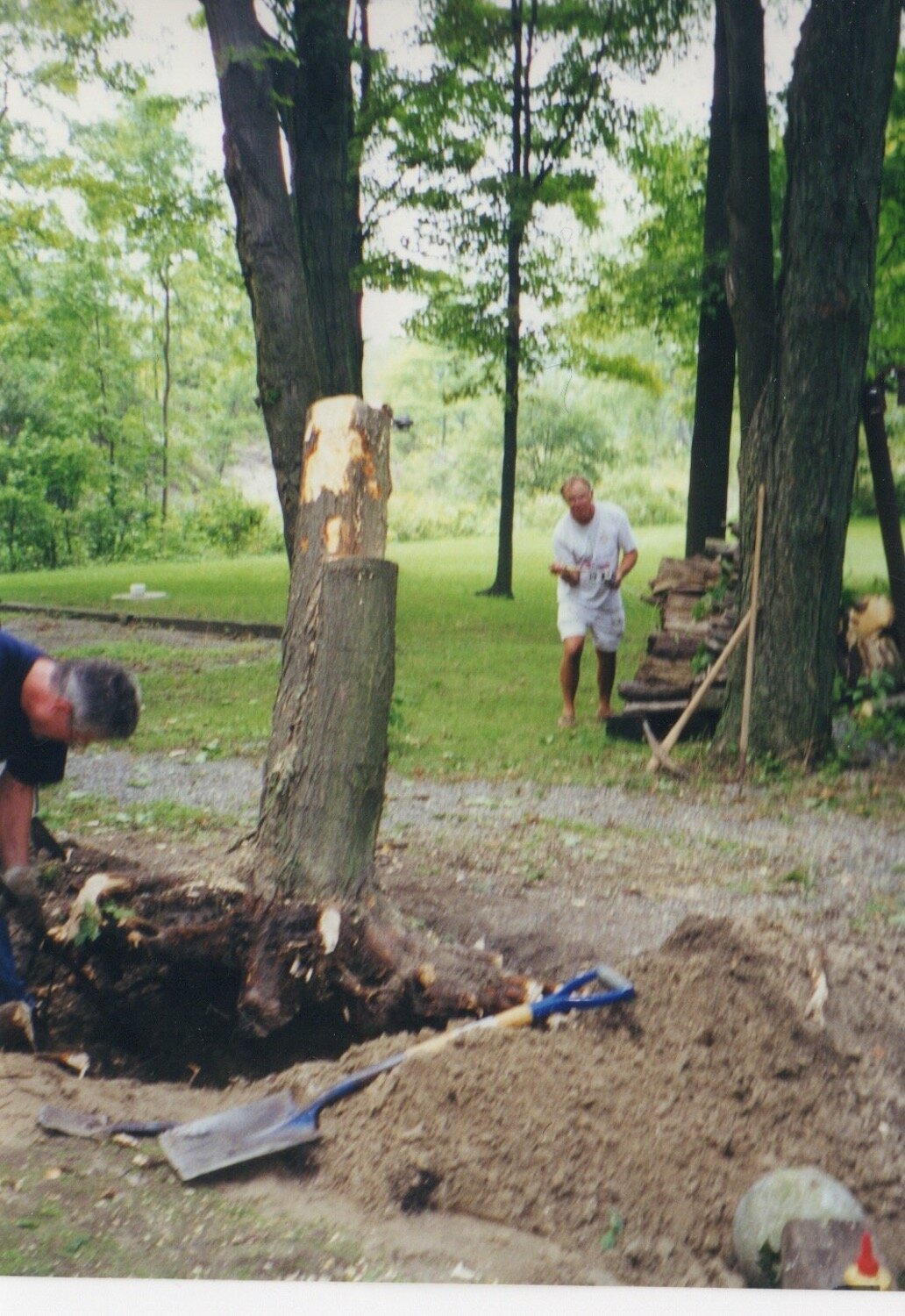 John S. and John W. removing stump along drive (1999)