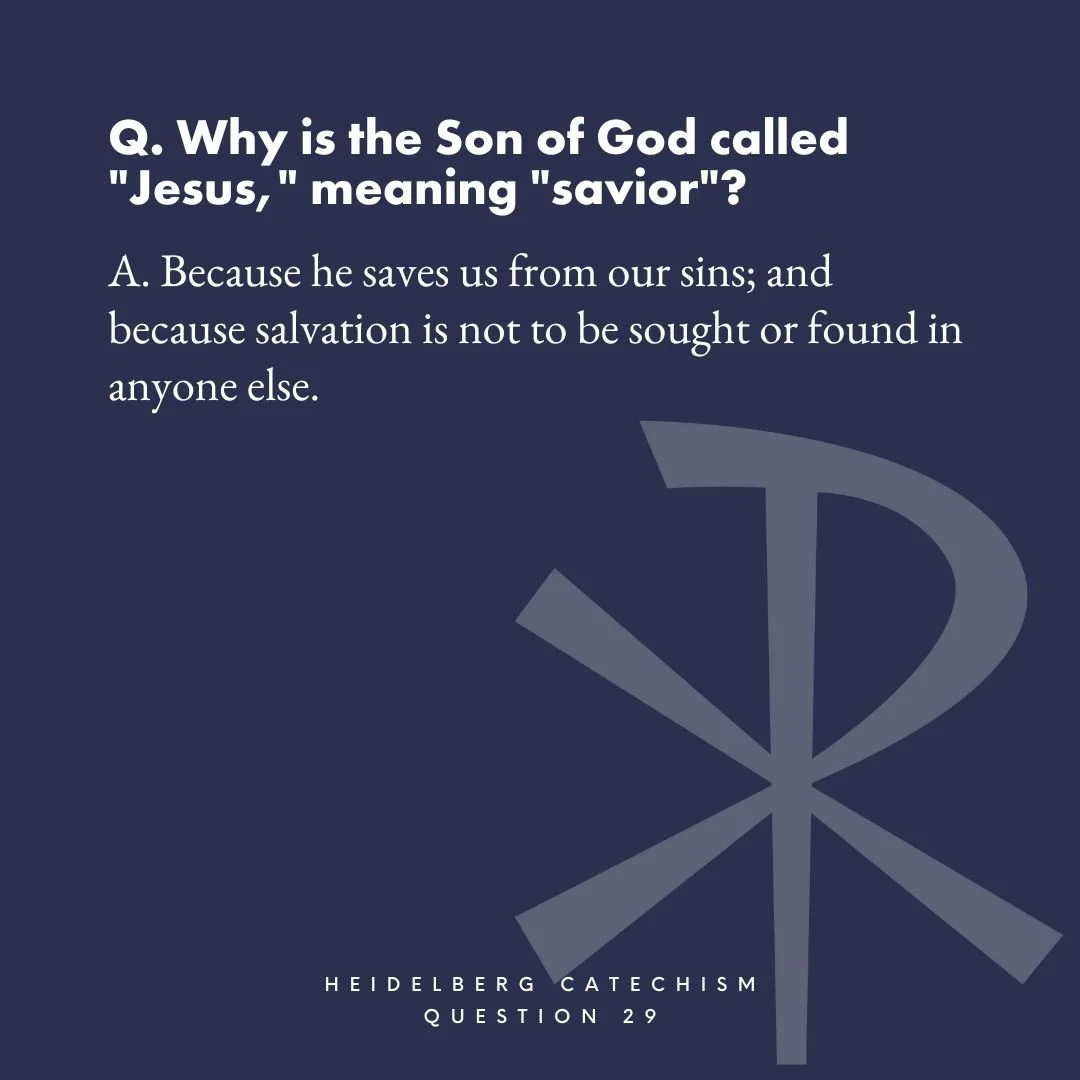 In the Parable of the Wicked Tenants, to Son of God comes to his Father's vineyard, and is killed outside the city, all according to God's mysterious plan of salvation.

Thus Psalm 118 is fulfilled... &quot;The stone the builder's rejected has become