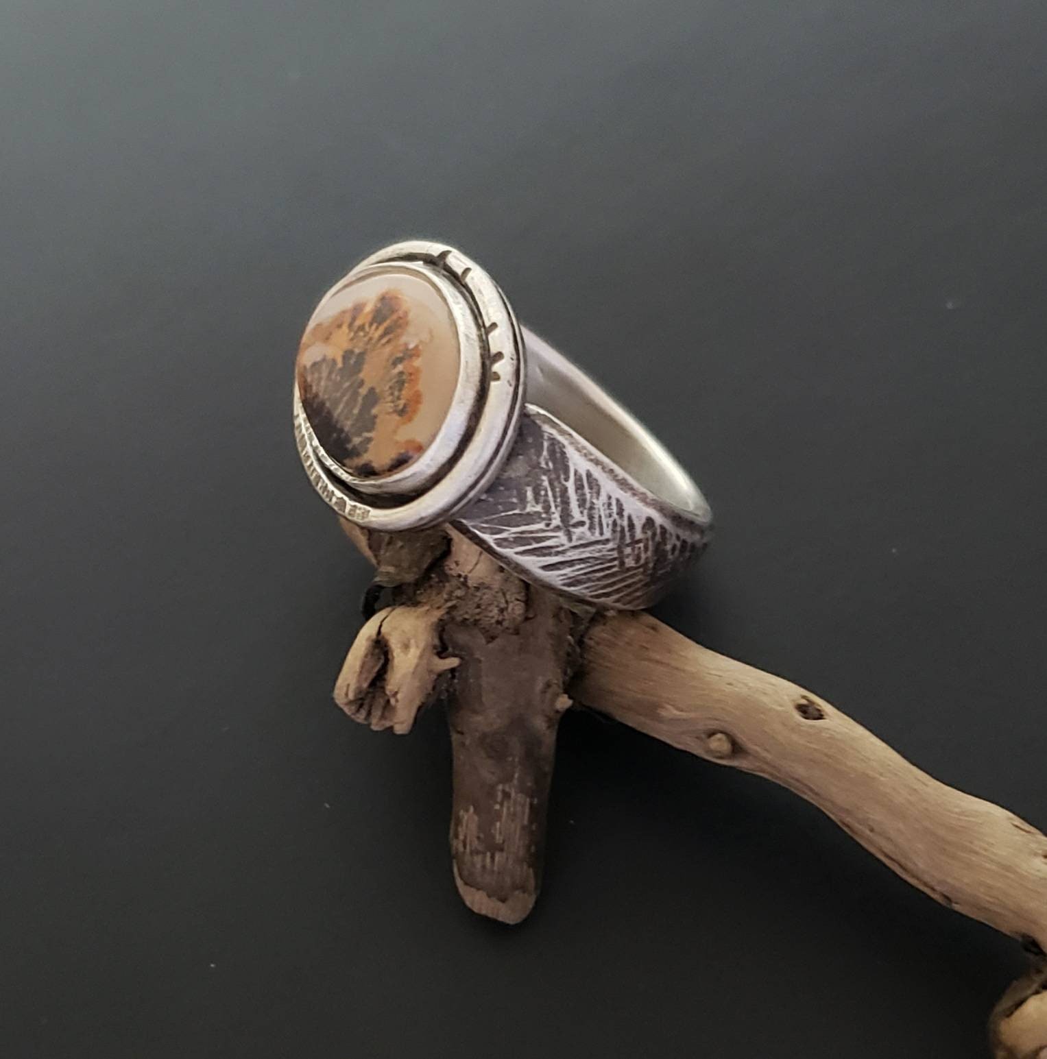 https://i.etsystatic.com/7285246/r/il/fbaf14/3592174140/il_fullxfull.3592174140_blhk.jpg