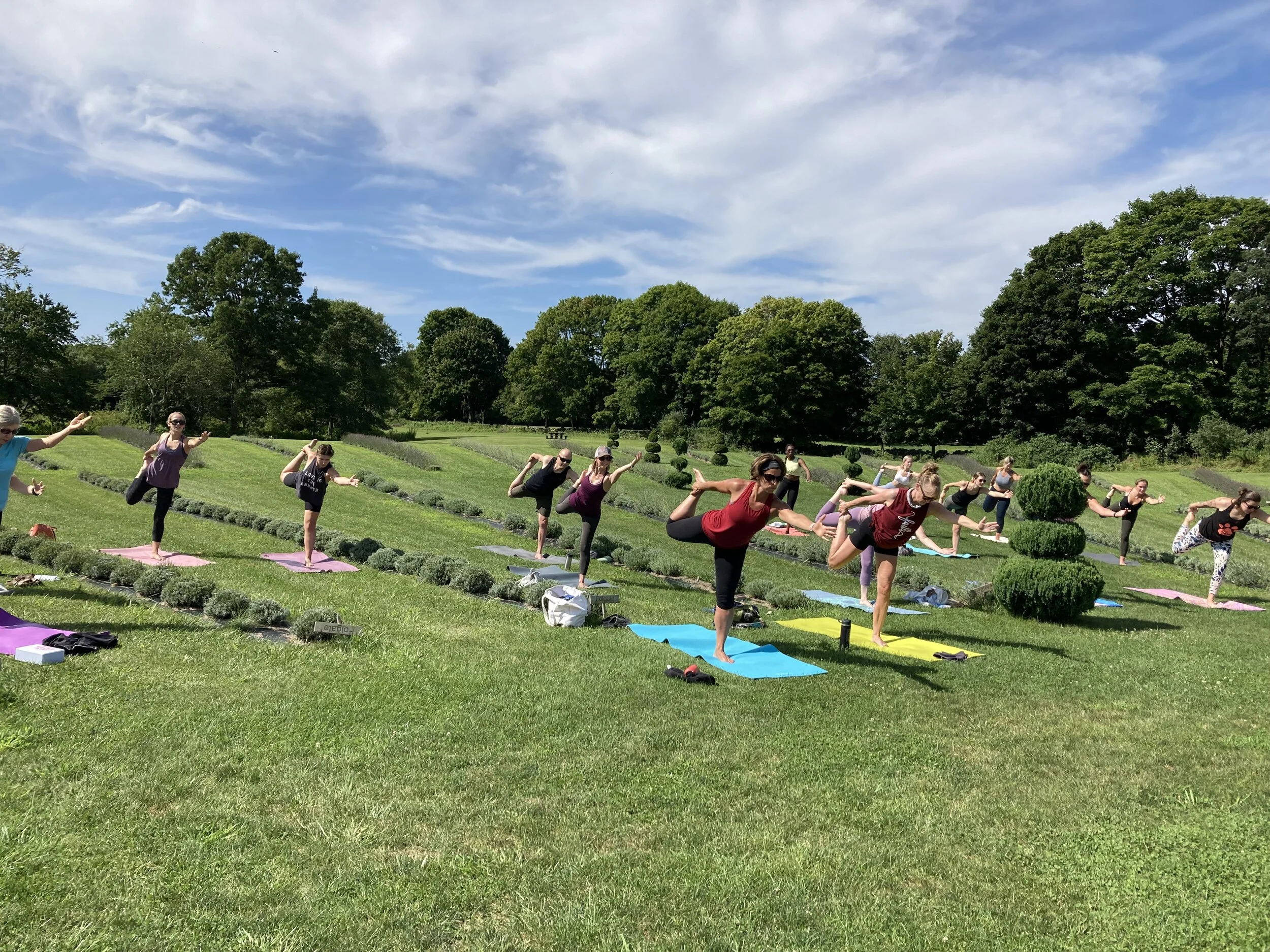 vineyard lavender farms bachelorette yoga in newport ocean front yoga event with Jessica Ackerman yoga teacher