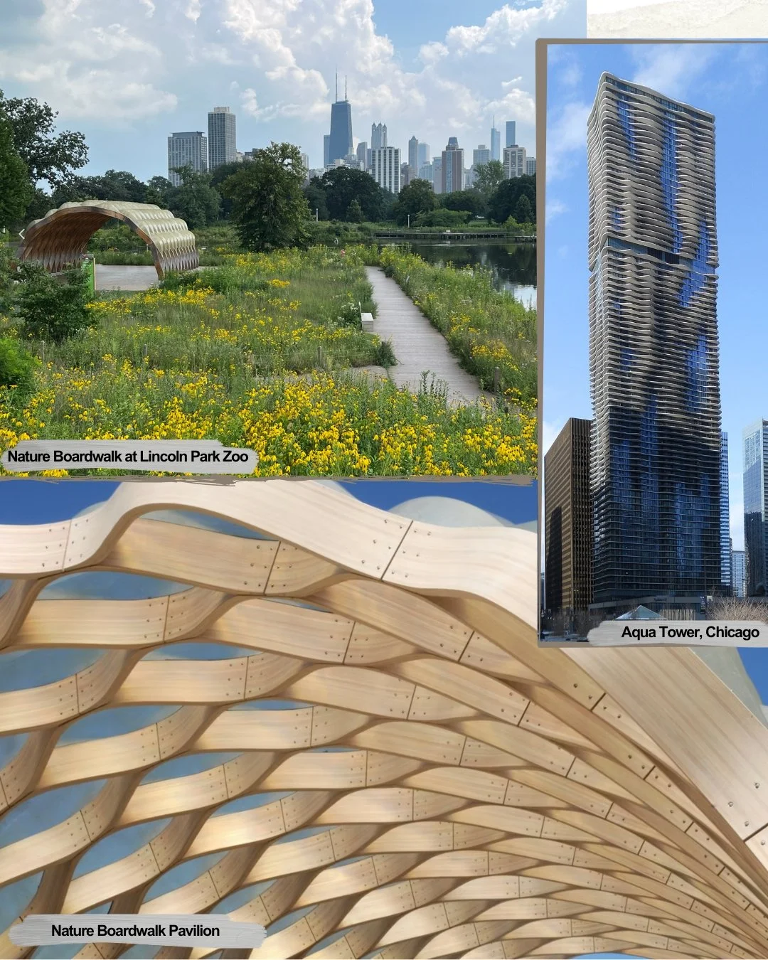 Jeanne Gang - Happy Birthday