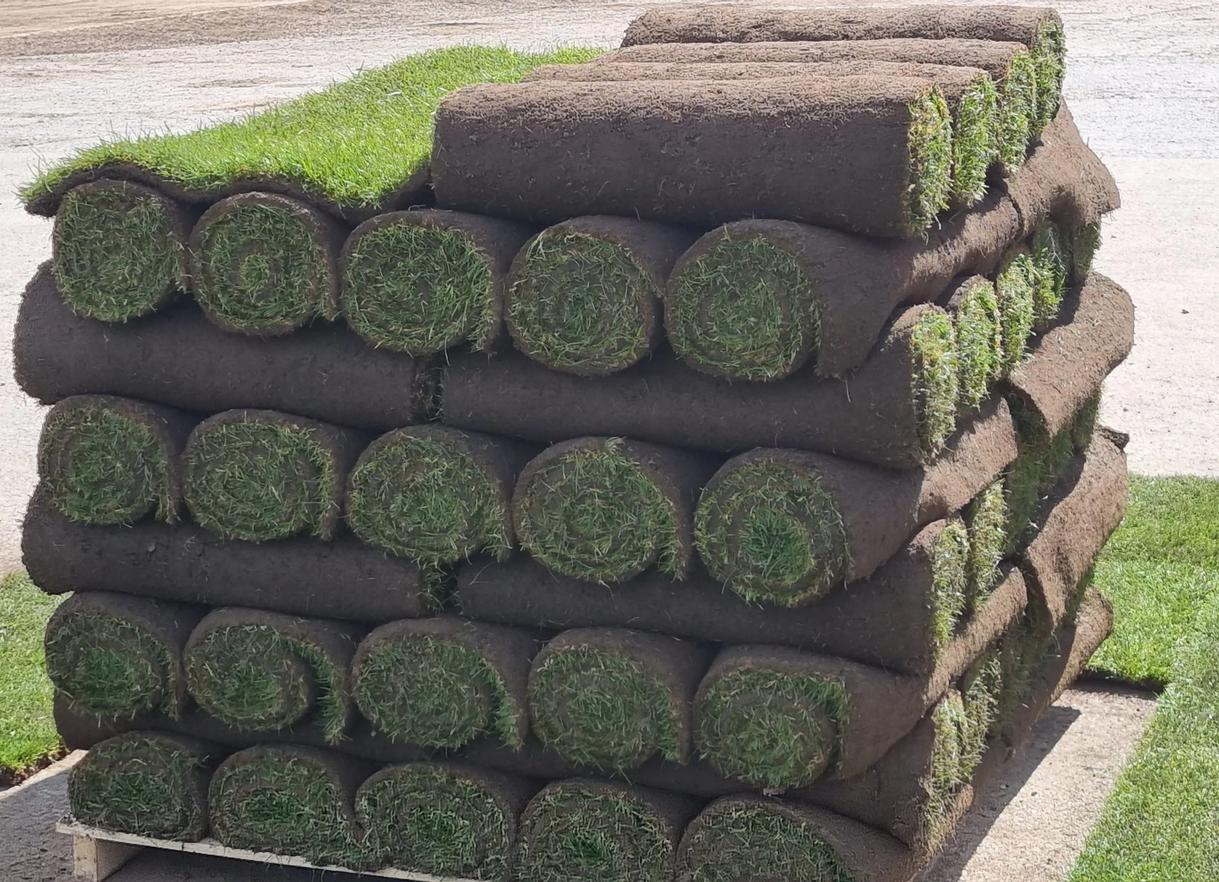 Cultivated lawn Turf (Delivery) — J&B Farnaby