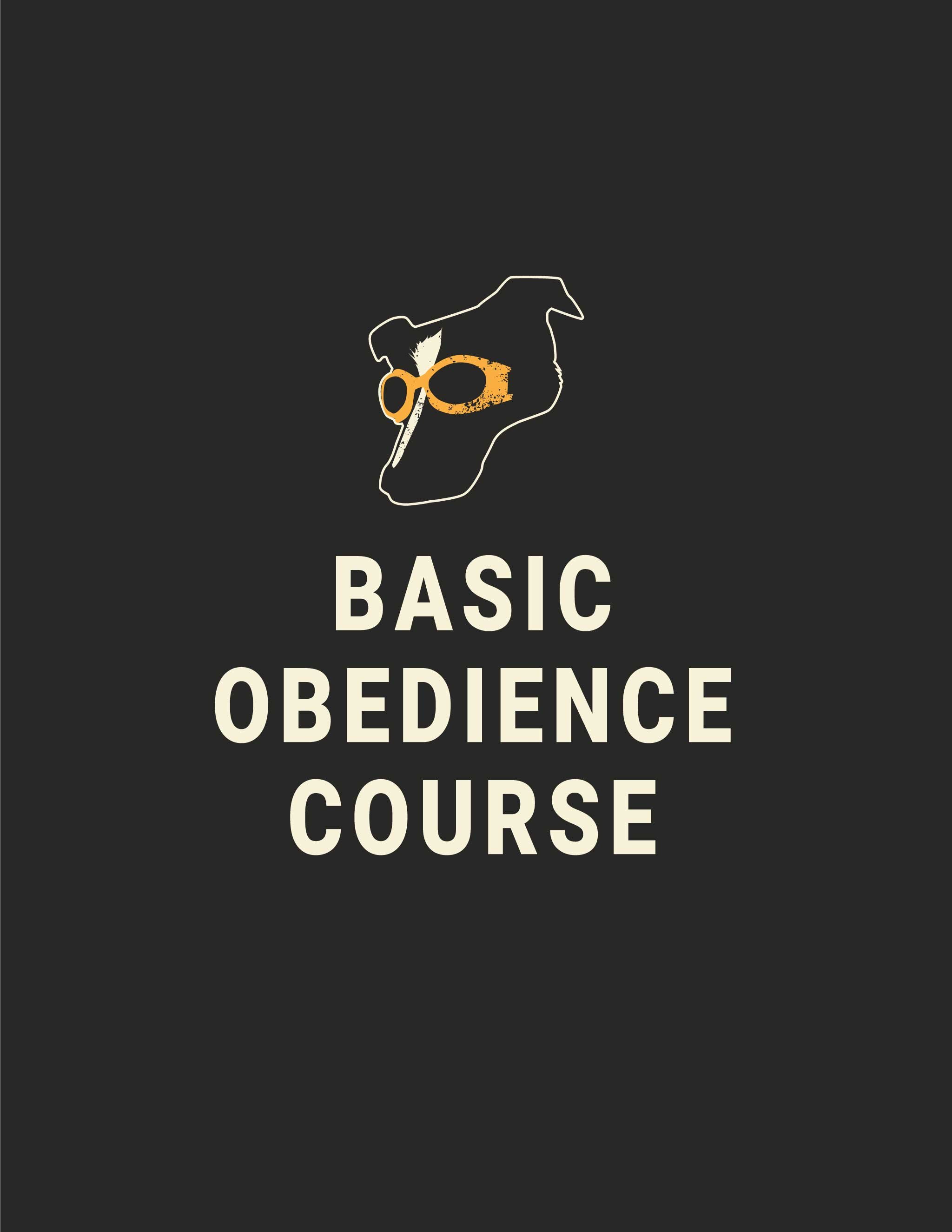 Basic Obedience Course