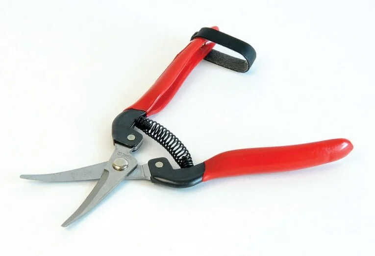 Thing+grape+shears.jpg
