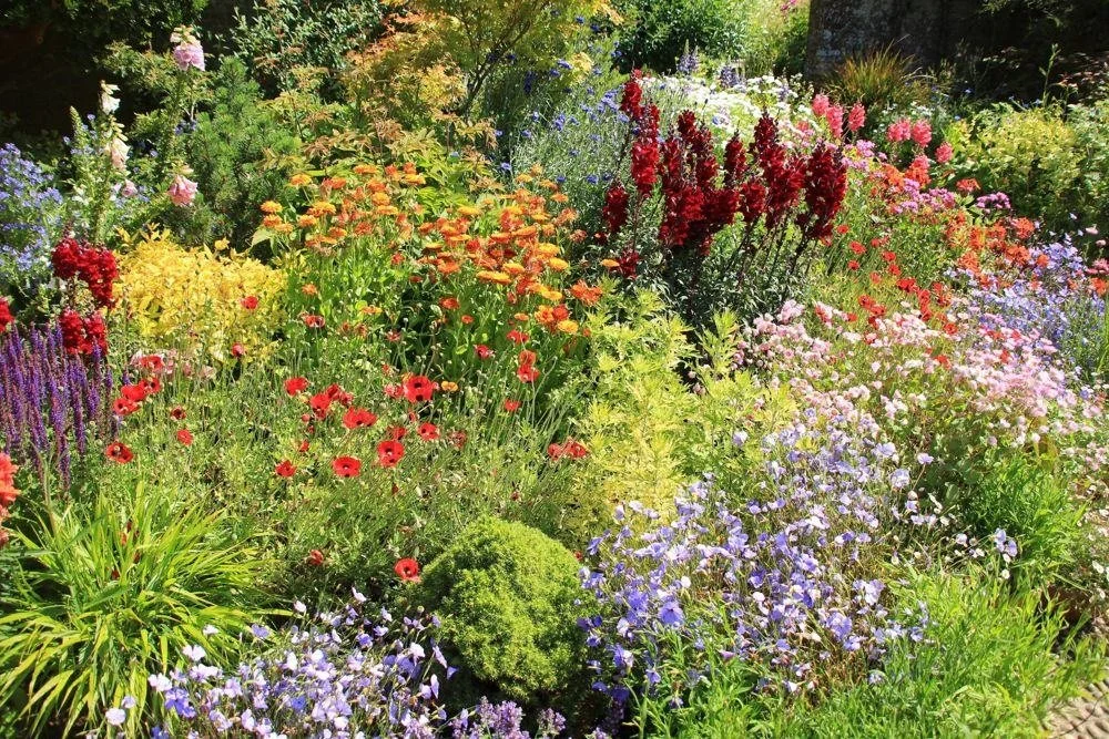 POLLINATOR GARDEN, COHASSET, MA
