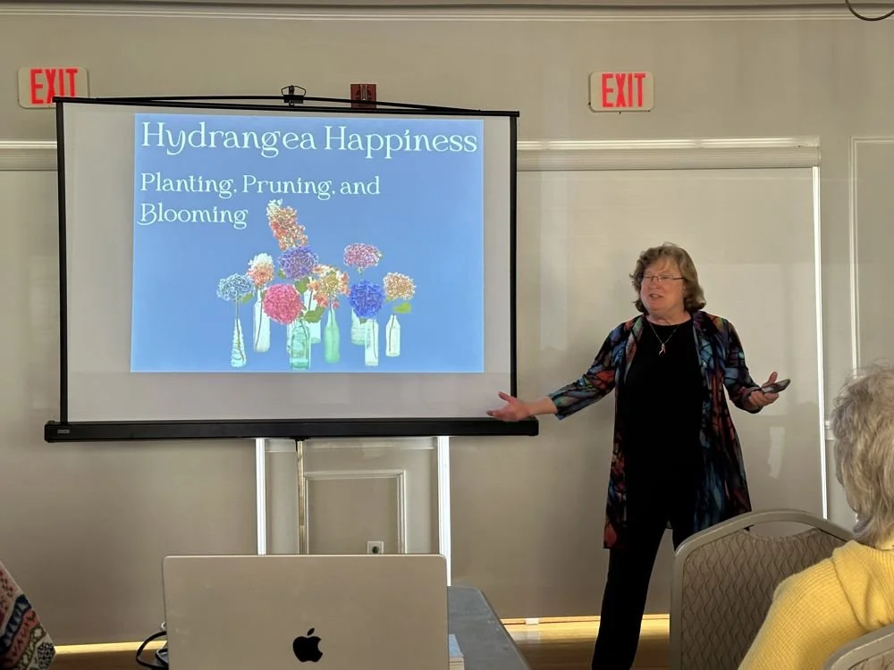 70-a-speaker-presenting-on-hydrangeas.jpg