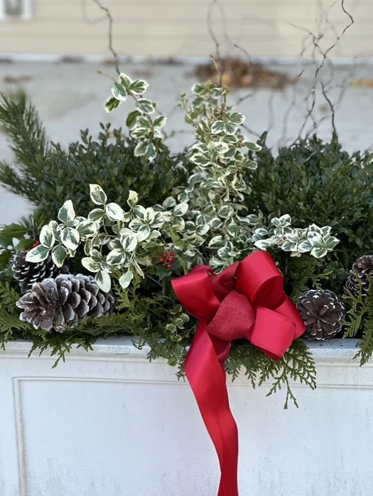 37-a-winter-window-box-of-boxwood-euonymus-and-.jpg