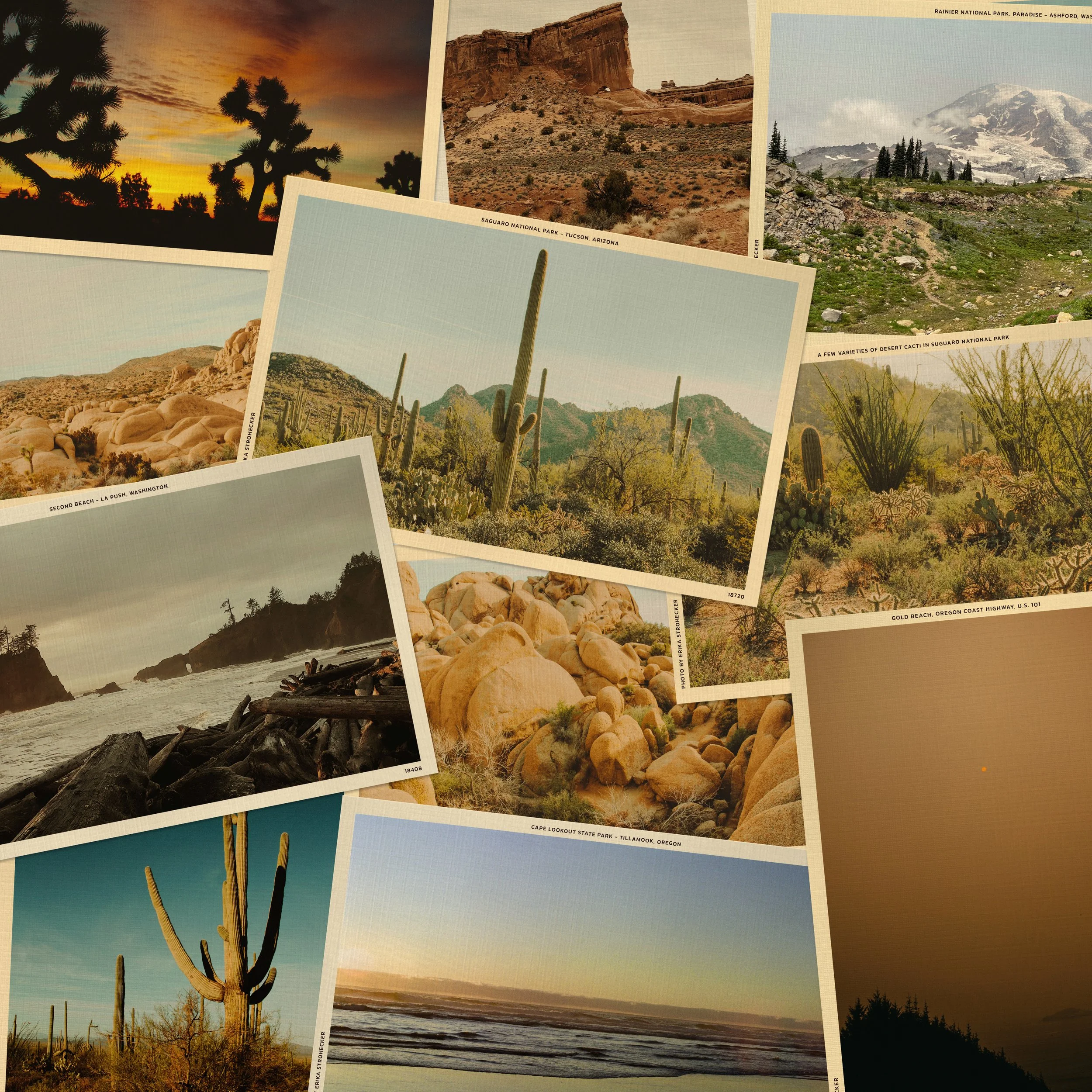 A variety of different postcards laying on top of each other. All photos taken by Erika Strohecker.