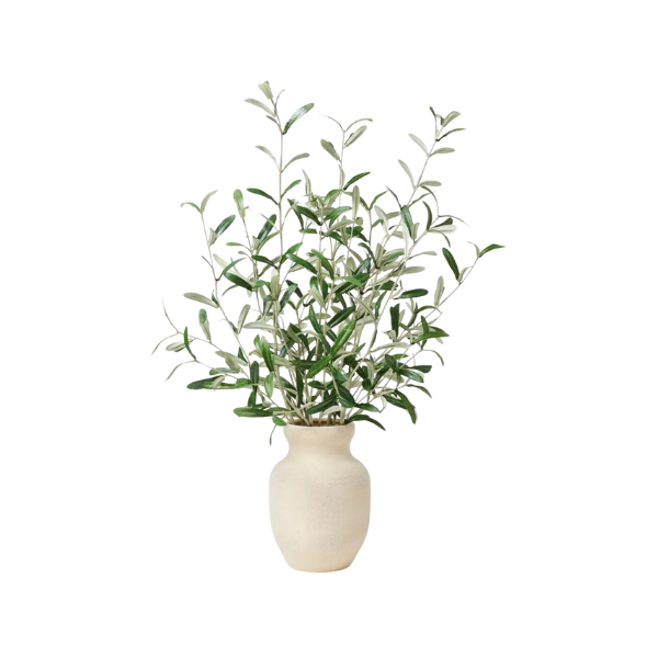 Olive Leaf Arrangement