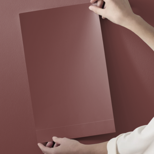 Benjamin Moore Fading Light Paint Color