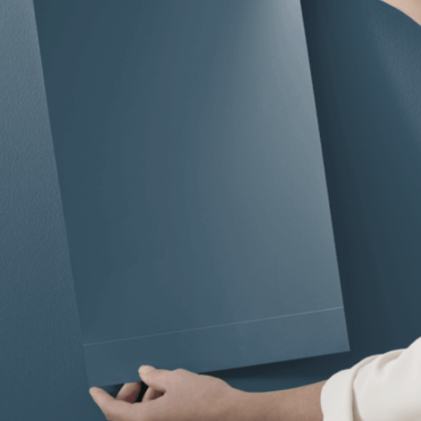 Benjamin Moore Hudson Bay