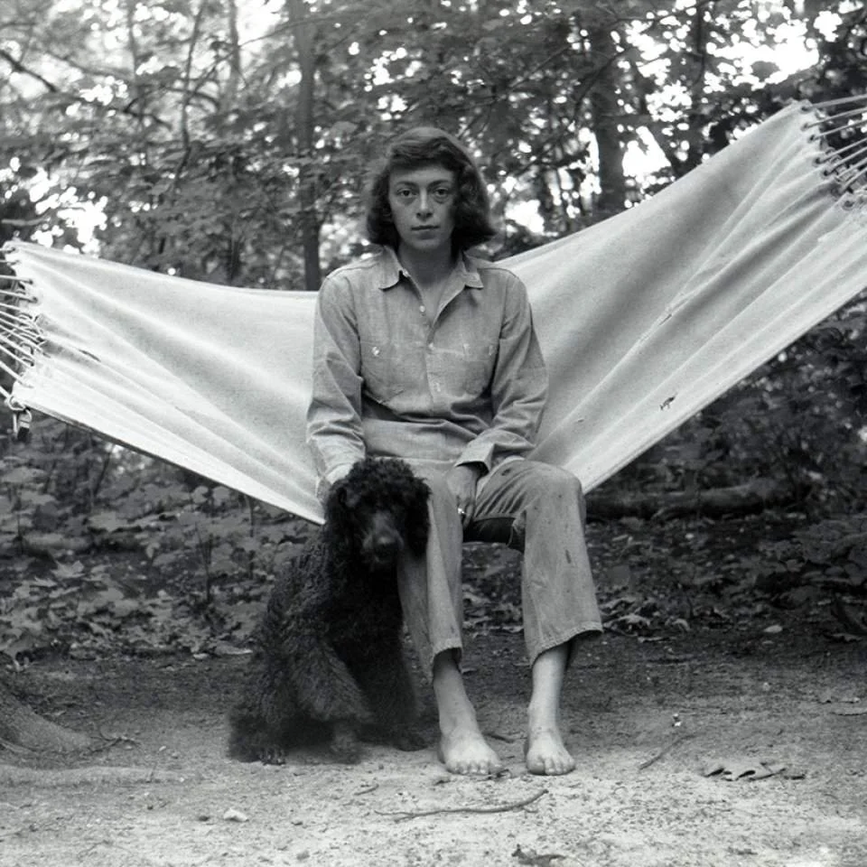 Mitchell-Georges-Springs.jpg