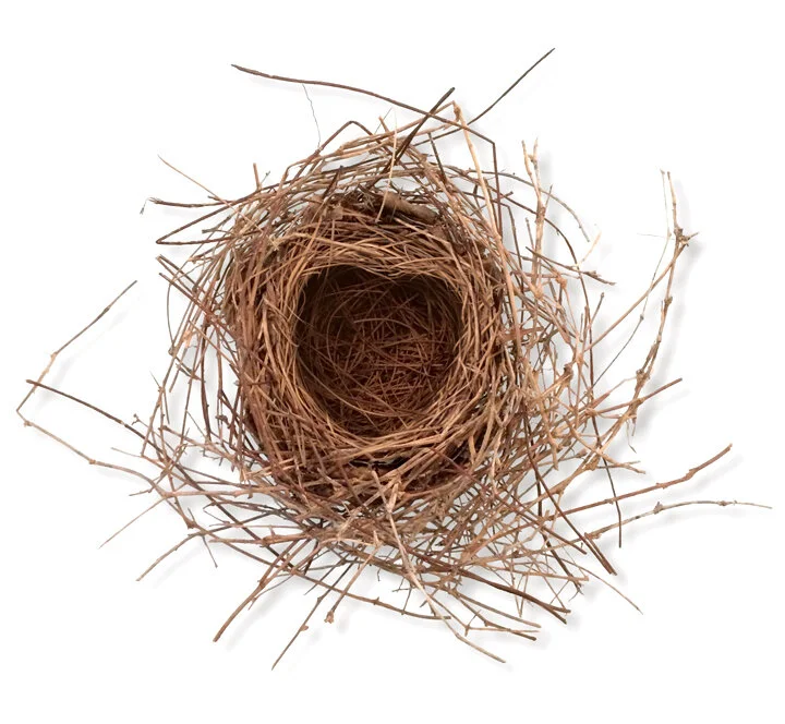 NestLayers_Comp3Flat web.jpg