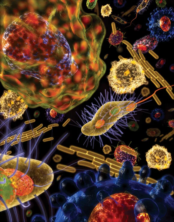 BacteriaCoverFinal web.jpg