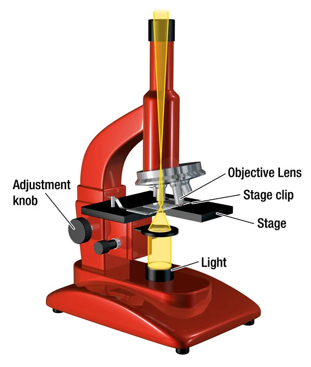 Microscope_WEB.jpg
