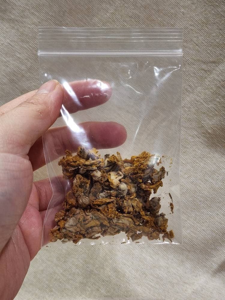 https://i.etsystatic.com/16951063/r/il/7de45e/3778016174/il_fullxfull.3778016174_fwp0.jpg
