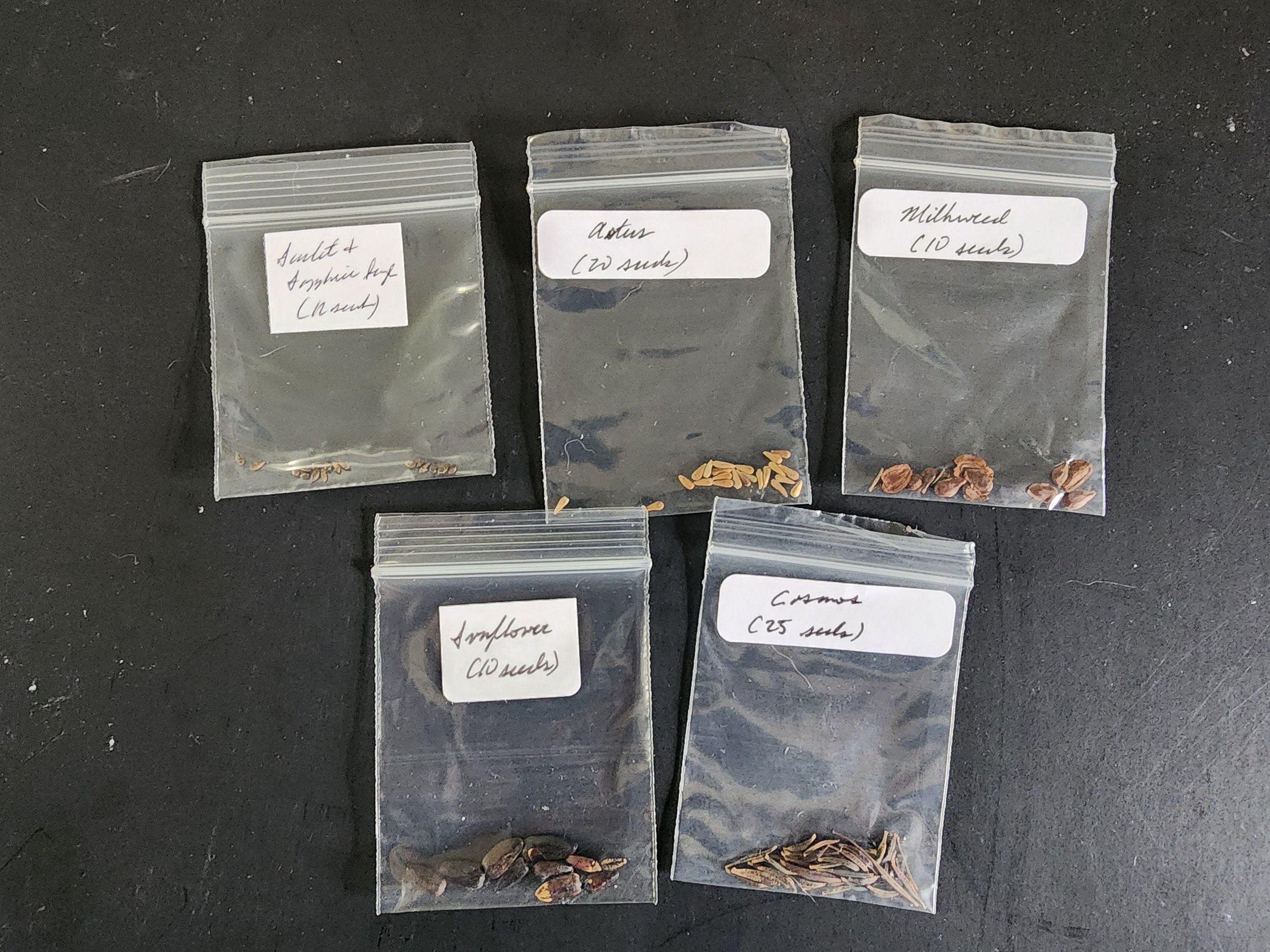 https://i.etsystatic.com/16951063/r/il/5b80fb/5864238266/il_fullxfull.5864238266_dnf9.jpg