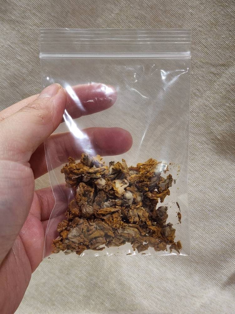 https://i.etsystatic.com/16951063/r/il/7de45e/3778016174/il_fullxfull.3778016174_fwp0.jpg