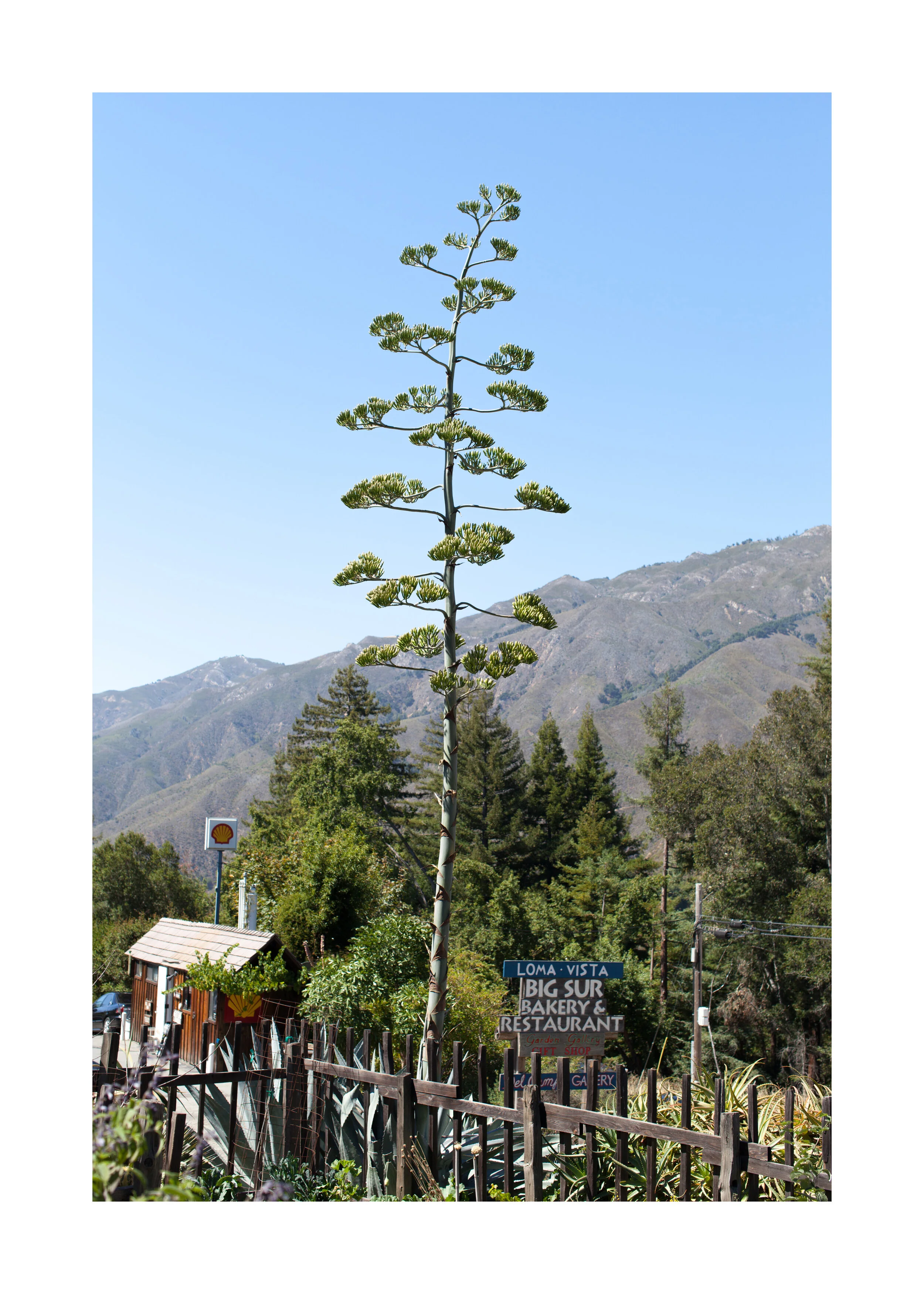 Bay 07.13 - 6alt.jpg