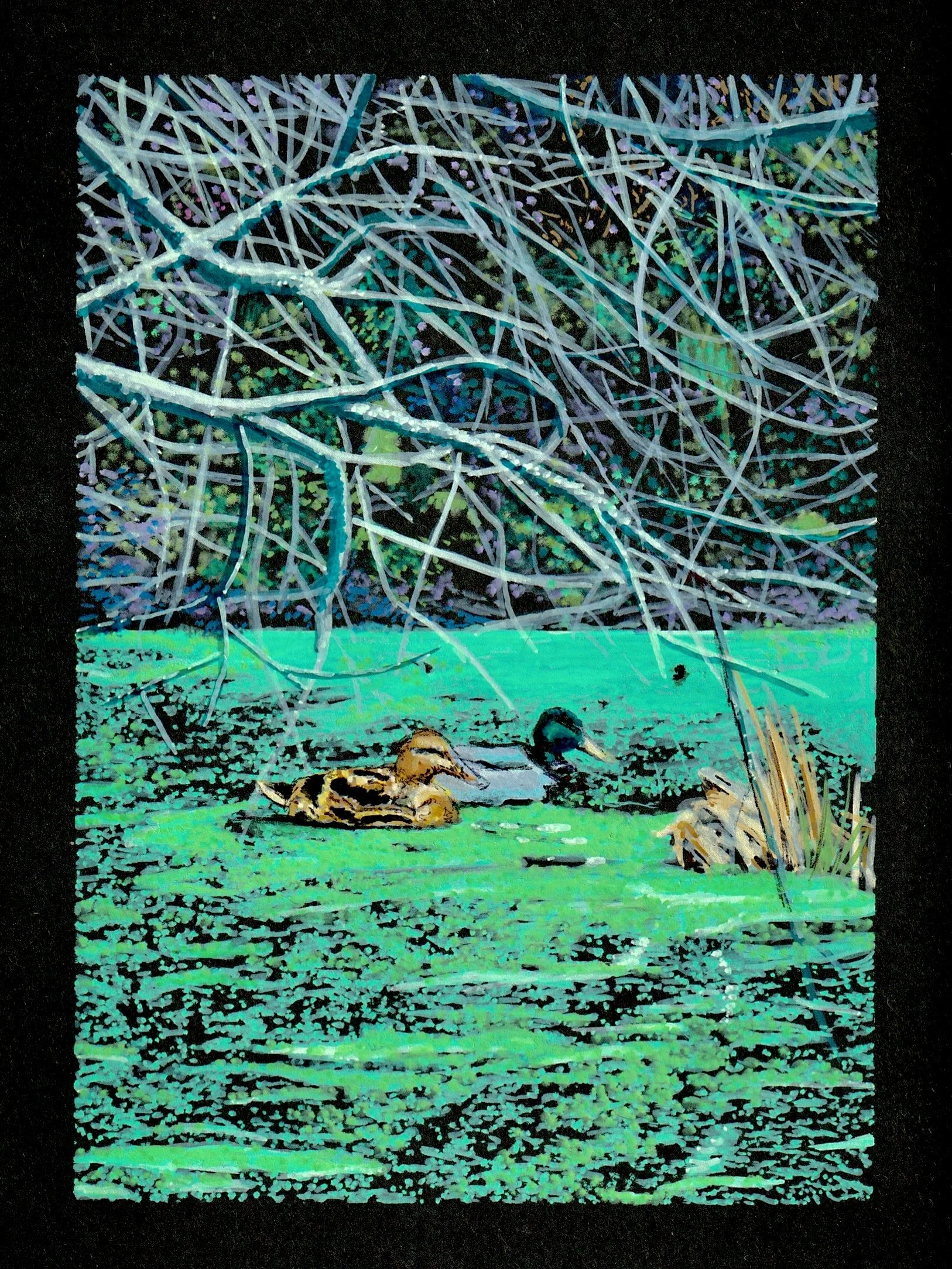 'Love In Algal Blooms.' 2026.