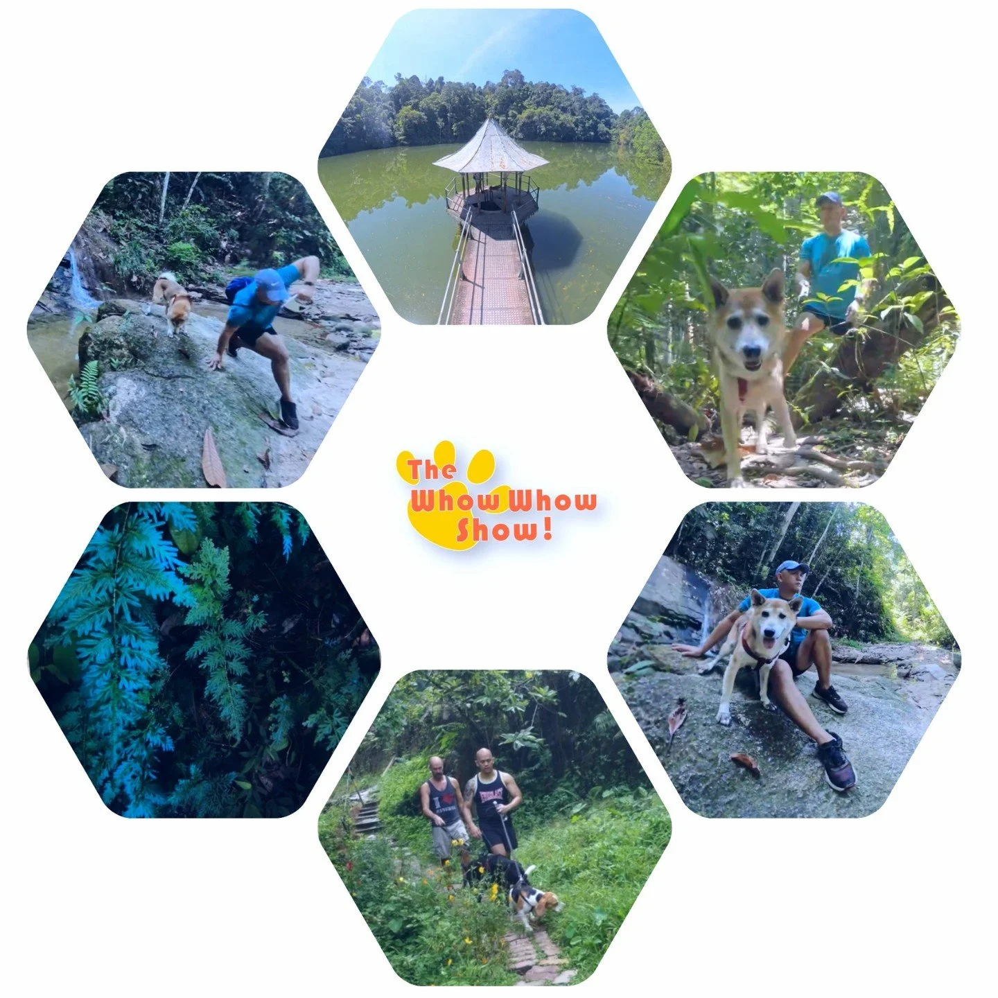 Have you watched our last episode 4? 🤓 How do you like it?