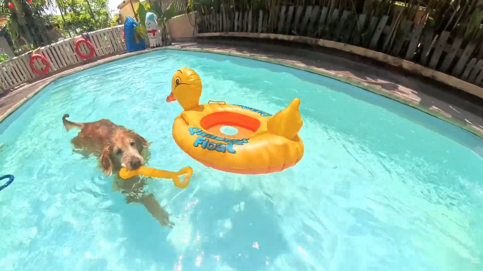 Bildschirmfoto 2026-03-08 um 15.58.02.png