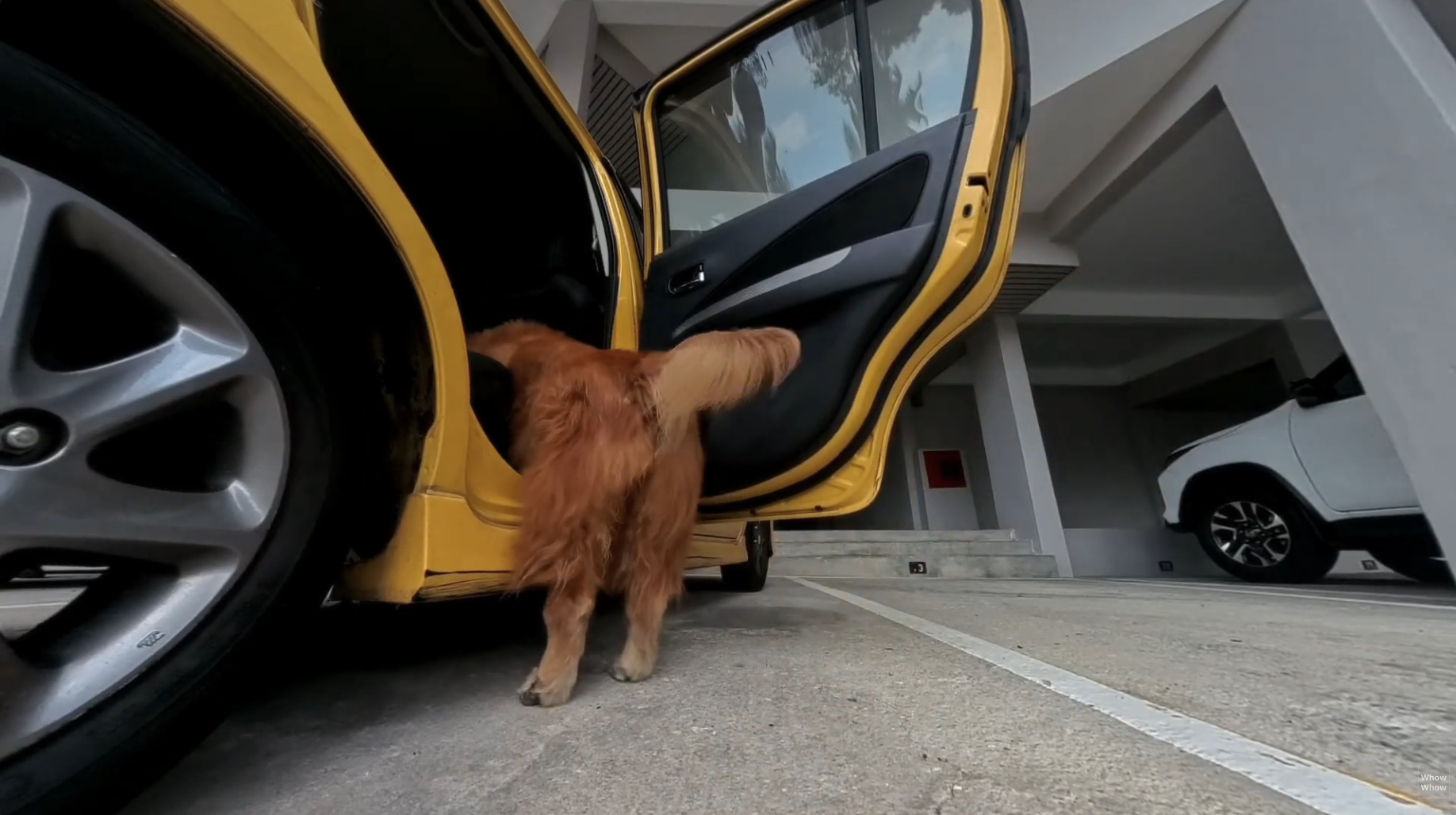 Bildschirmfoto 2026-03-08 um 15.57.48.png