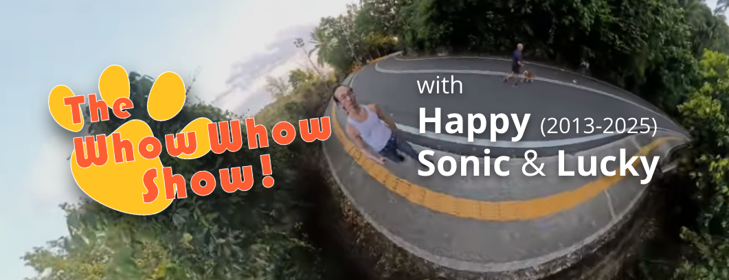 Bildschirmfoto 2026-03-08 um 16.29.54.png