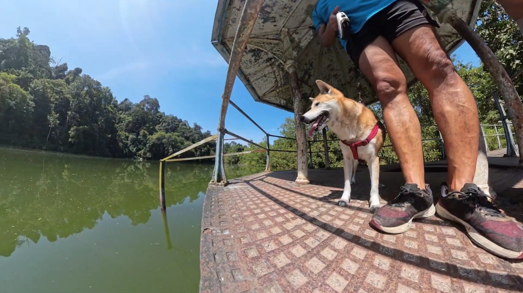 Bildschirmfoto 2026-03-10 um 00.39.02.png